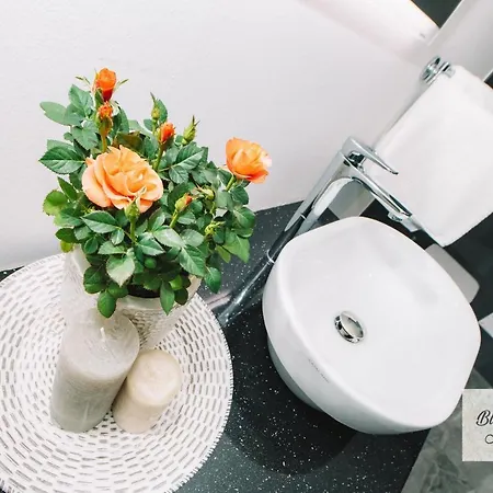 Wellness Paradise Daire Bled