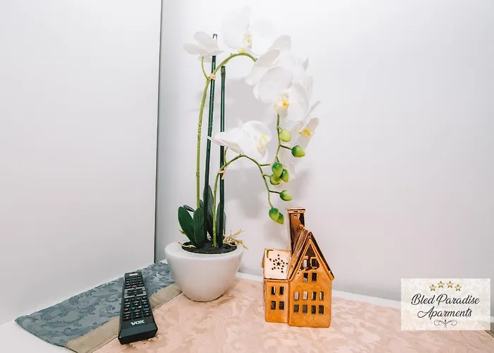 Wellness Paradise 布莱德