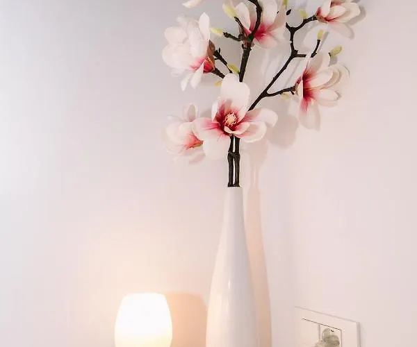 Wellness Paradise Apartament